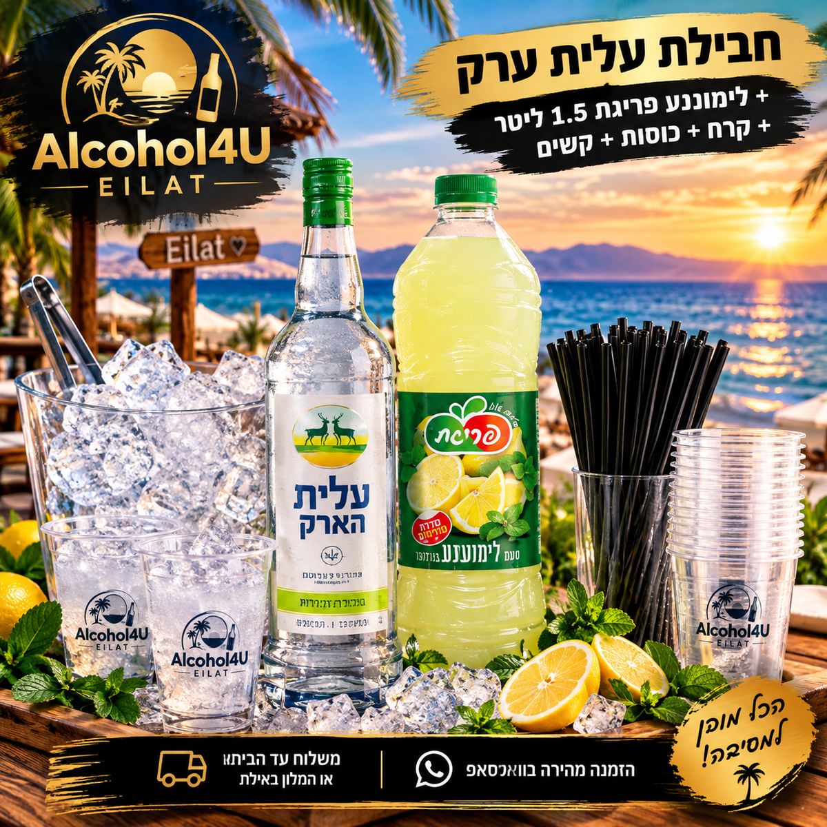 קרח שק גדול למשלוח באילת